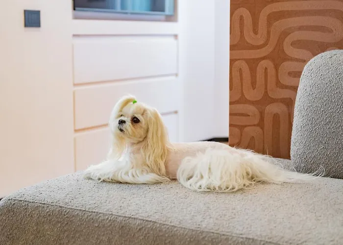 Vico Del Pozzo Luxury - Fuga Romantica Nel Cuore Di Apartamento *